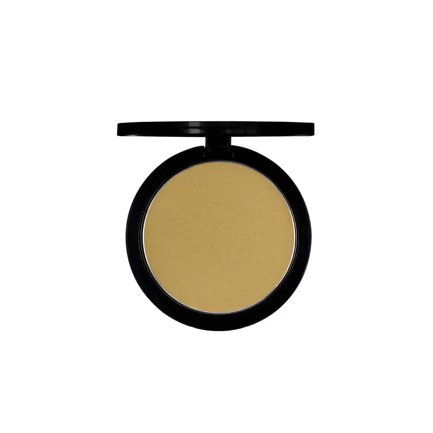 PAC Studio Powder Blusher - 16
