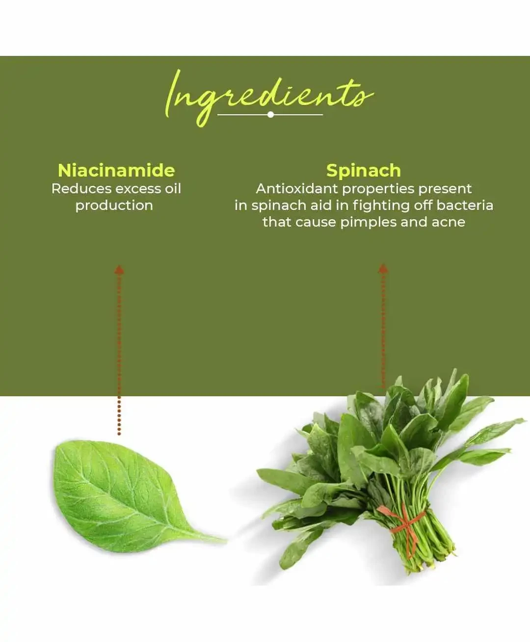 Organic Harvest Vitamin B Face Wash, 100g