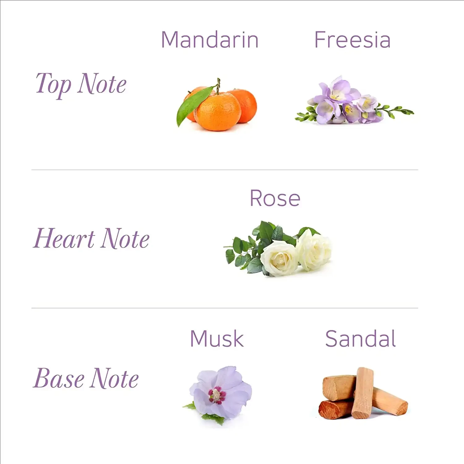 Yardley Morning Talc, 100gm